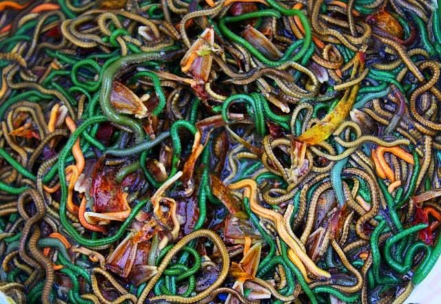 Festival Bau Nyale 2026 Kembali Digelar, Ribuan Warga dan Wisatawan Padati Pantai Seger Lombok