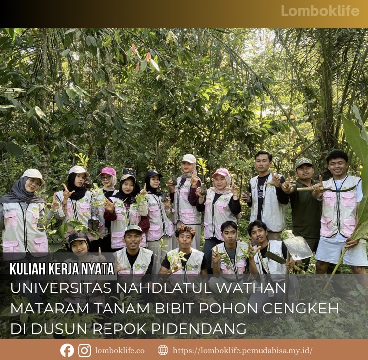 KKN Universitas Nahdlatul Wathan Mataram Tanam Bibit Pohon Cengkeh di Dusun Repok Pidendang